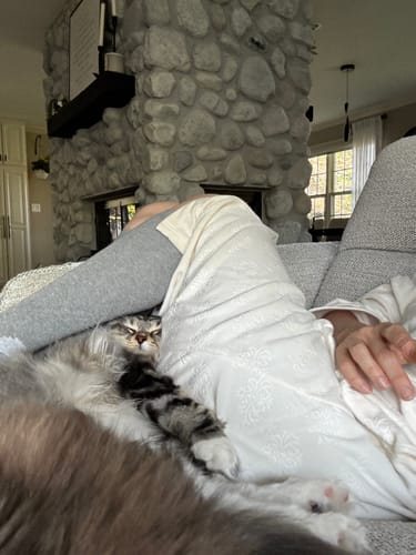 Reviewer relaxing on a couch wearing a white Premium Bamboo Compression Sock with a fluffy cat snuggled on their leg.