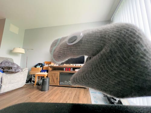 Reviewer's gray Premium Bamboo Compression Sock used as a playful hand puppet with a googly eye.