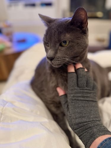 Customer pets a cat while wearing grey, open-fingertip Onecompress™ Gloves.