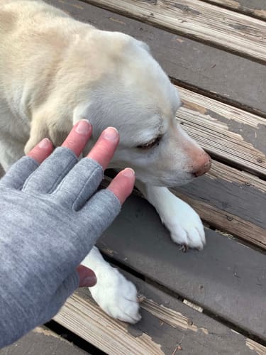 Customer's hand wearing a grey Onecompress Glove with an open-finger design, petting a light-colored dog on a wooden deck.